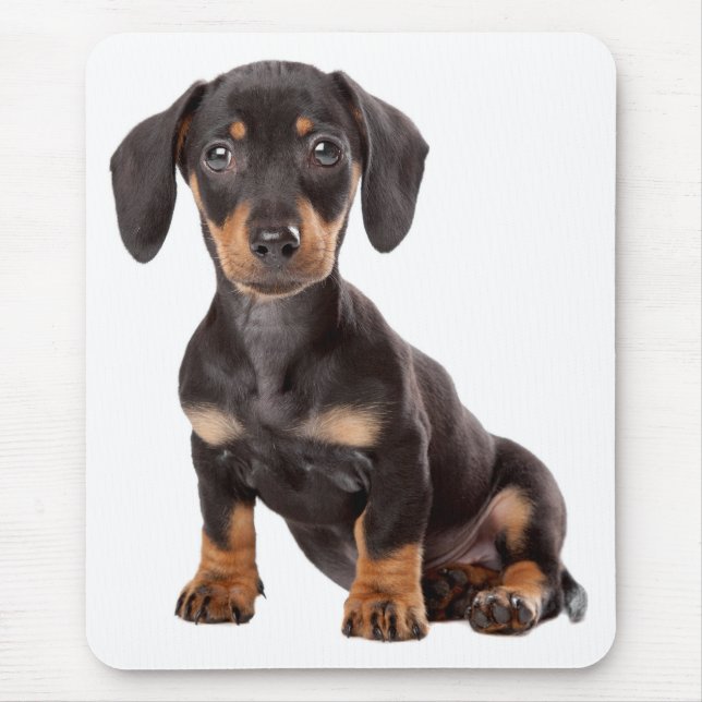 Cute Wiener Dog Doxin Lover Gift Dog Mom Dachshund Mouse Pad (Front)