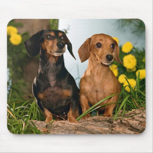 Cute Wiener Dog Lovers Doxin Puppy Dachshund Mouse Pad