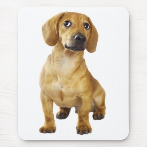 Cute Wiener Puppy Dog Doxie Lover Gift Dascshund Mouse Pad