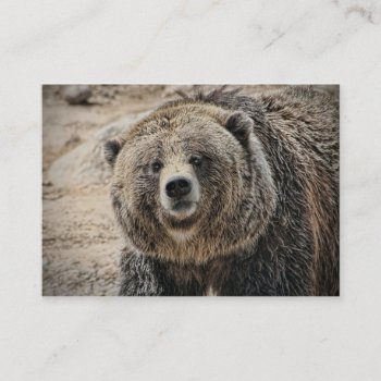 Cute Wild Animal Grizzly Bear Face Business Card by PhotographyTKDesigns at Zazzle