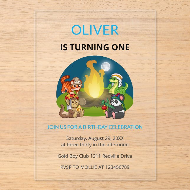 Cute Wild Animals Campfire Kids 1st Birthday Acrylic Invitations (Front)