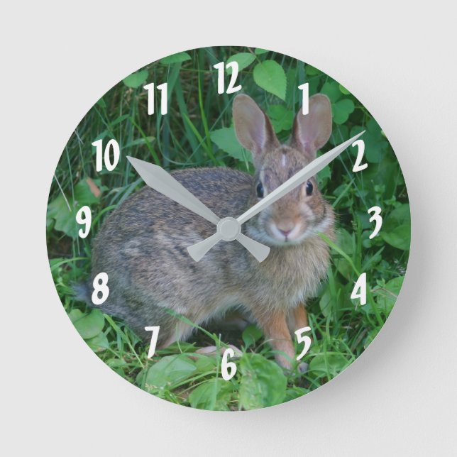Cute Wild Brown Rabbit Round Clock (Front)