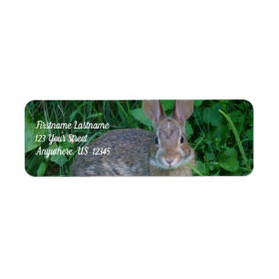 Cute Wild Brown Rabbit Wildlife Address Label