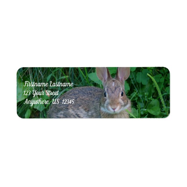 Cute Wild Brown Rabbit Wildlife Address Label (Front)