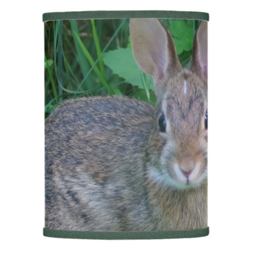 Cute Wild Brown Rabbit Wildlife Animal  Lamp Shade
