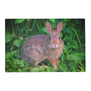 Cute Wild Brown Rabbit Wildlife   Placemat
