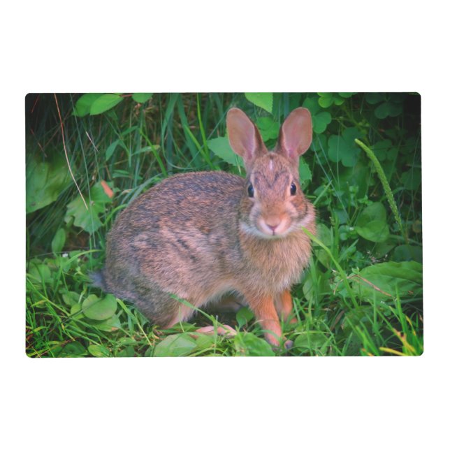 Cute Wild Brown Rabbit Wildlife   Placemat (Front)