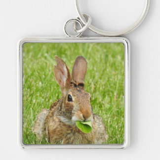 Cute Wild Bunny Rabbit Eating Keychain