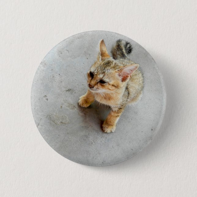 Cute wild cat kitten button (Front)