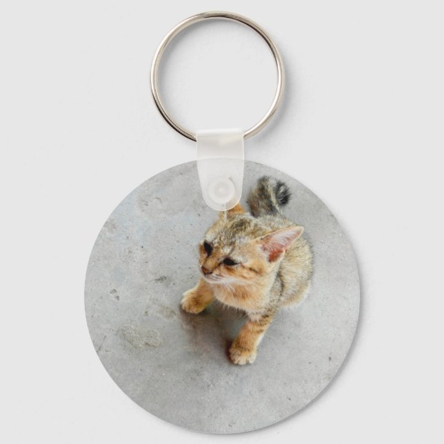 Cute wild cat kitten keychain (Front)