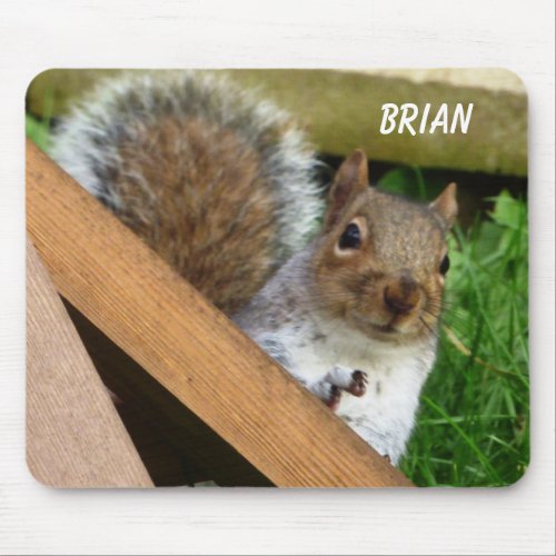 Cute Wild Gray Squirrel Mouse Pad