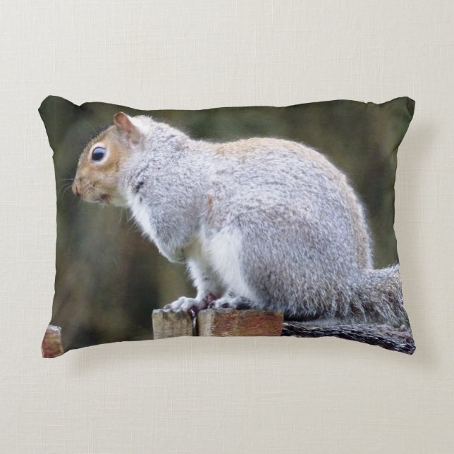 Cute Wild Grey Squirrel  Accent Pillow (Front)