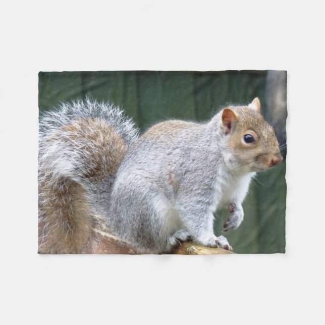 Cute Wild Grey Squirrel (UK ) Fleece Blanket (Front (Horizontal))