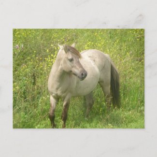 Leuke Wild Horse DIY briefkaart