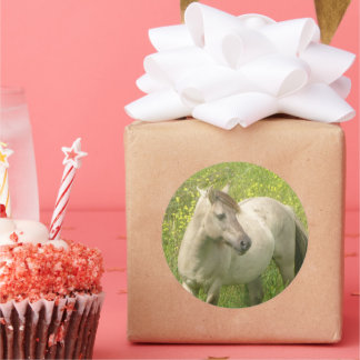 Cute Wild Horse Round Sticker