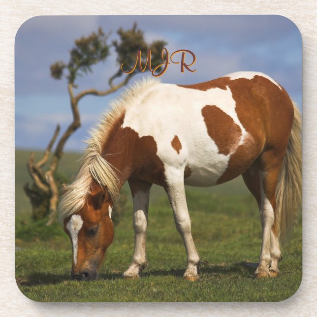 Cute Wild Pony on Dartmoor Drink Coaster (Front)