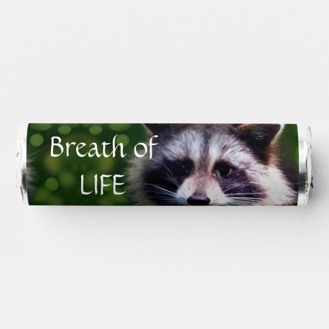 Cute Wild Raccoon & Editable Text Breath Savers® Mints (Front)