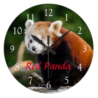 Cute Wild Red Panda Nature Photo Red Text Large Clock