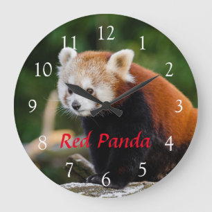 Cute Wild Red Panda Nature Photo Red Text Large Clock
