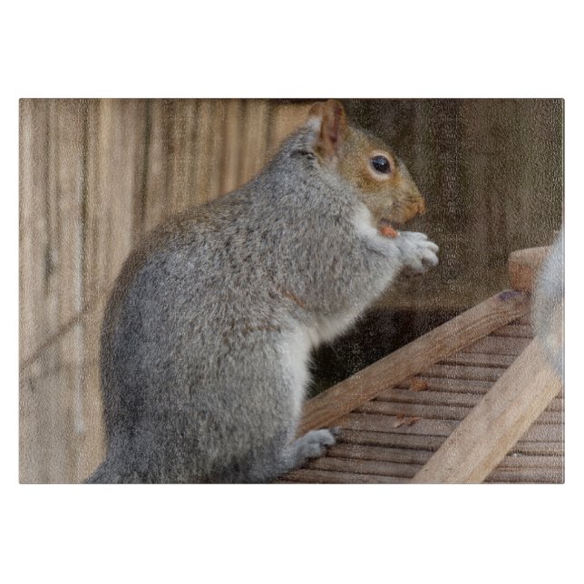 Cute Wild Squirrel Close-up Cutting Board (Front)