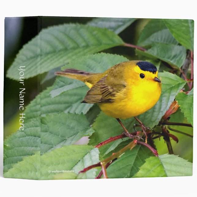 Cute Wilson's Warbler Songbird in the Cherry Tree 3 Ring Binder (Front/Spine)