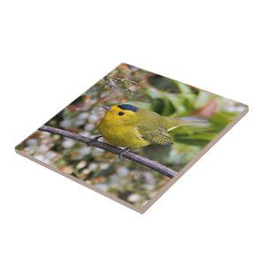 Cute Wilson's Warbler Songbird on the Grapevine Ceramic Tile
