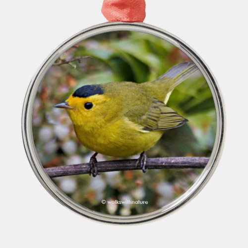 Cute Wilsons Warbler Songbird on the Grapevine Metal Ornament