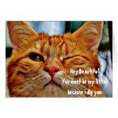 Cute Winking Cat Love Flirting Pick Up Line Funny (Front Horizontal)