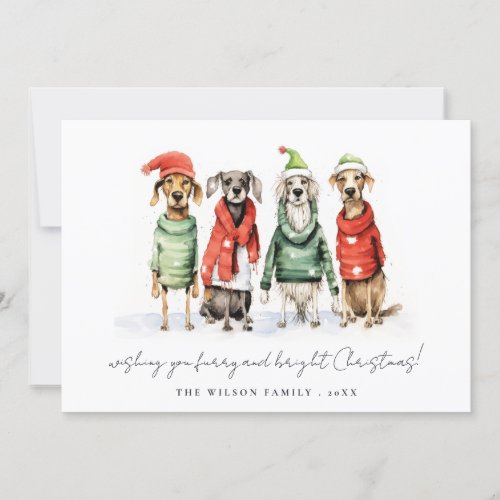 Cute Winter Dogs Sweater Furry  Bright Christmas  Holiday Card