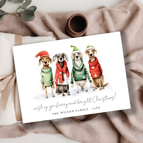 Cute Winter Dogs Sweater Furry  Bright Christmas  Holiday Card