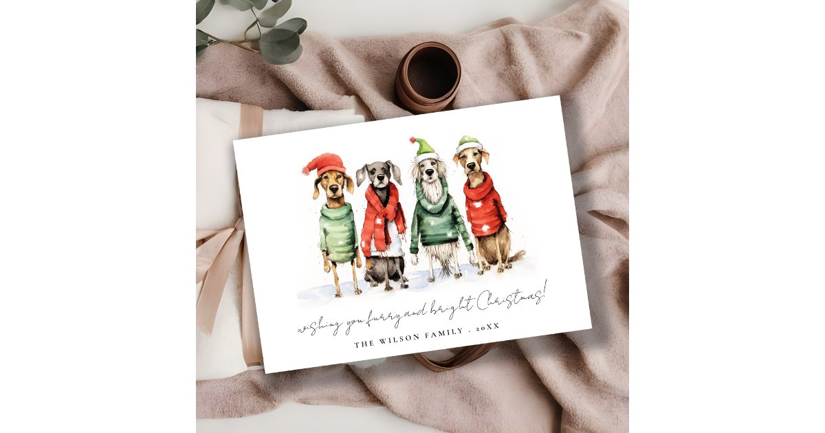 Cute Winter Dogs Sweater Furry & Bright Christmas Holiday Card | Zazzle
