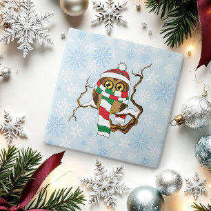 Cute Winter Owl Blue Snowflakes Holidays Ceramic Tile