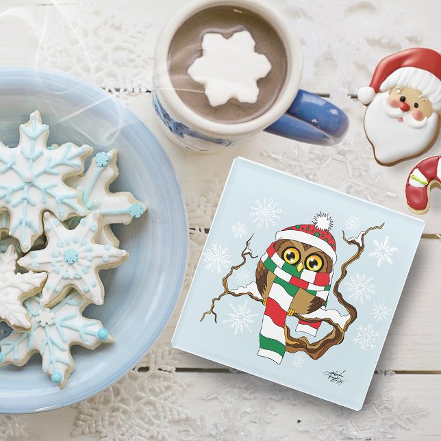 Cute Winter Owl Blue Snowflakes Holidays  Glass Coaster (Creator Uploaded)