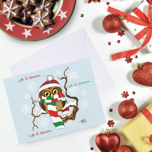Cute Winter Owl Blue Snowflakes Holidays Holiday Postcard