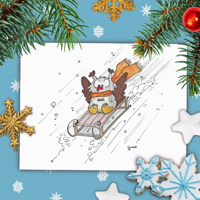 Cute Winter Owl postcard (Creator Uploaded)