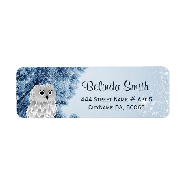 Cute Winter Owl White Blue Label (Front)