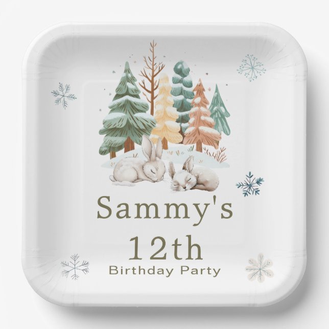 Cute Winter Rabbits Birthday Party Paper Plates (Front)