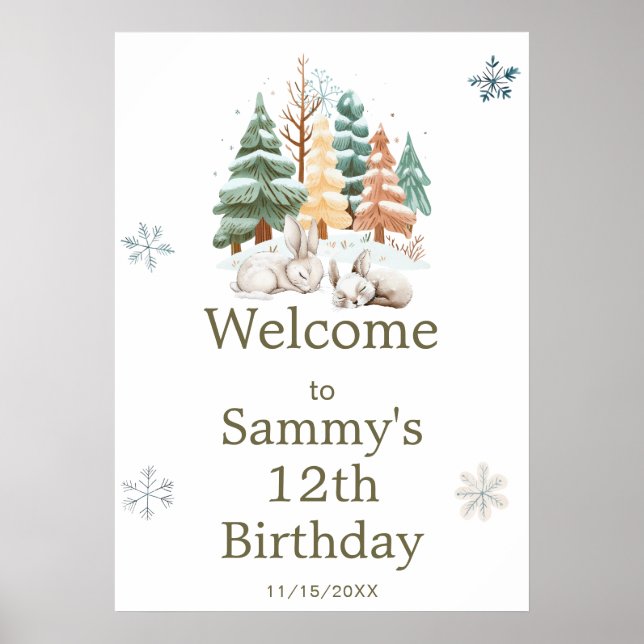 Cute Winter Rabbits Birthday Party Poster (Front)