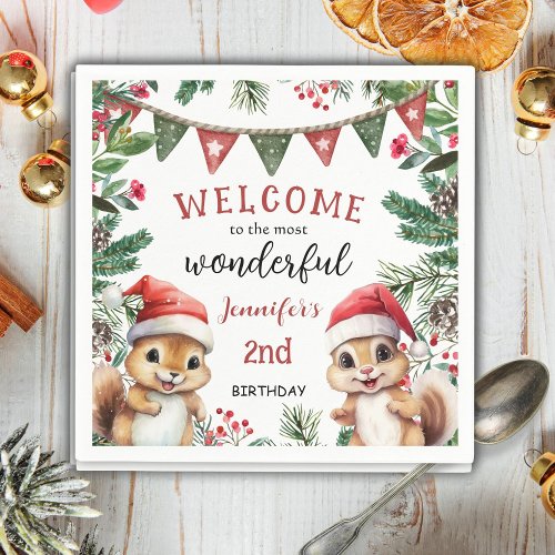 Cute Winter Squirrel Christmas 2nd Birthday Napkins