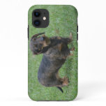 Cute Wire Haired Dachshund iPhone 11 Case