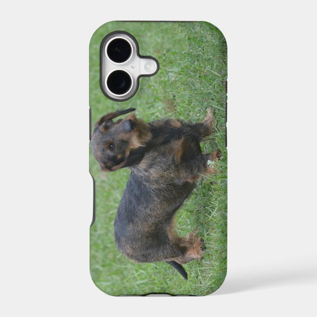 Cute Wire Haired Dachshund Iphone Case (Back)