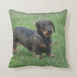 Cute Wire Haired Dachshund Throw Pillow