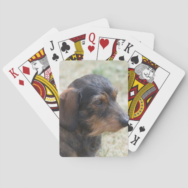 Cute Wire Haired Daschund Poker Cards (Back)