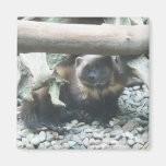 Cute Wolverine Magnet