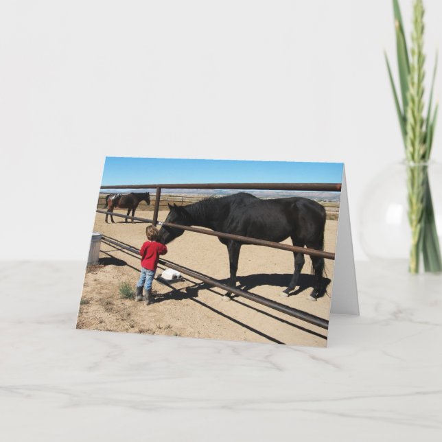 Cute Woman Graduate Equine D.V.M. Congratulations Card (Front)