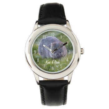 Cute Wombat Animal Australia Eating Grass Watch by DownUnderPhoto at Zazzle