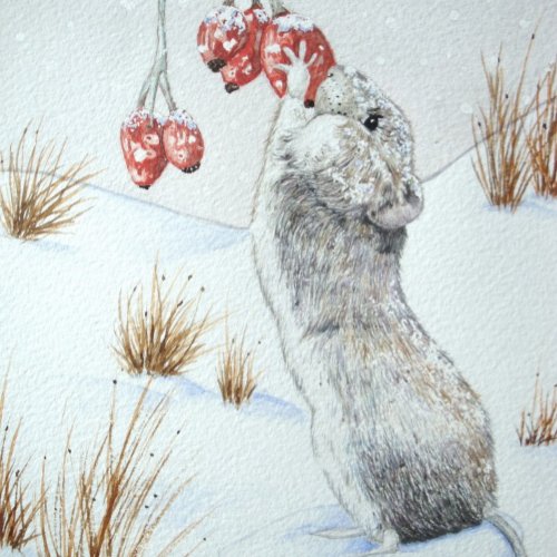 cute wood mouse snow scene wildlife christmas