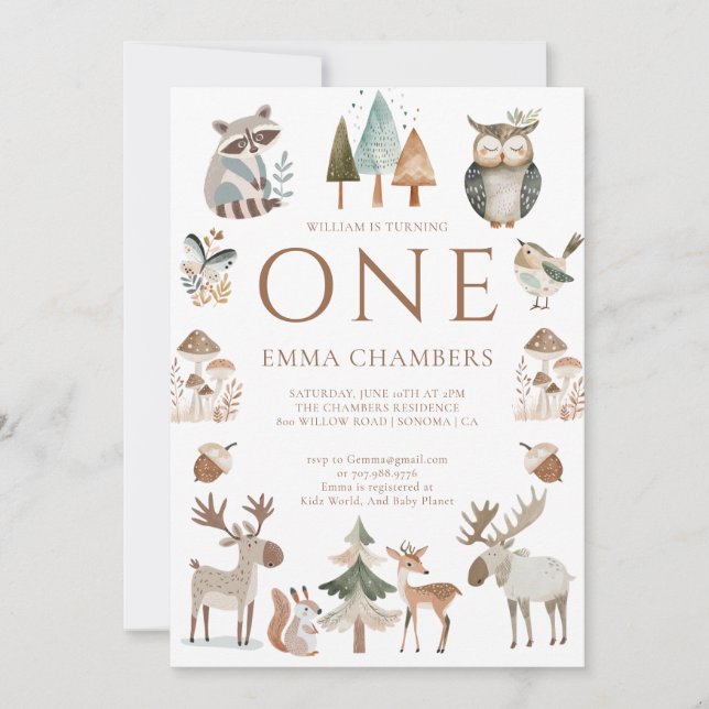 Cute Woodland Animals 1st Birthday Invitation (Front)