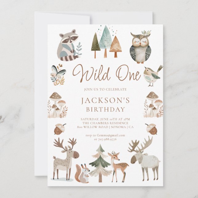 Cute Woodland Animals Wild One 1st Birthday Invitation (Front)