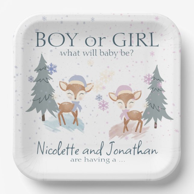 Cute Woodland Deer Winter Baby Gender Reveal Paper Plates (Front)